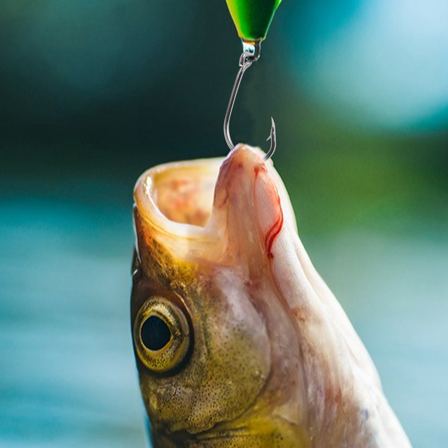 New arrival  500Pcs/Set Mixed  - Fishing Hook Size review and price